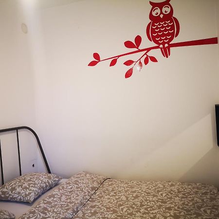 Filinhome Teleckog Újvidék Kültér fotó